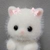 mirpanda08